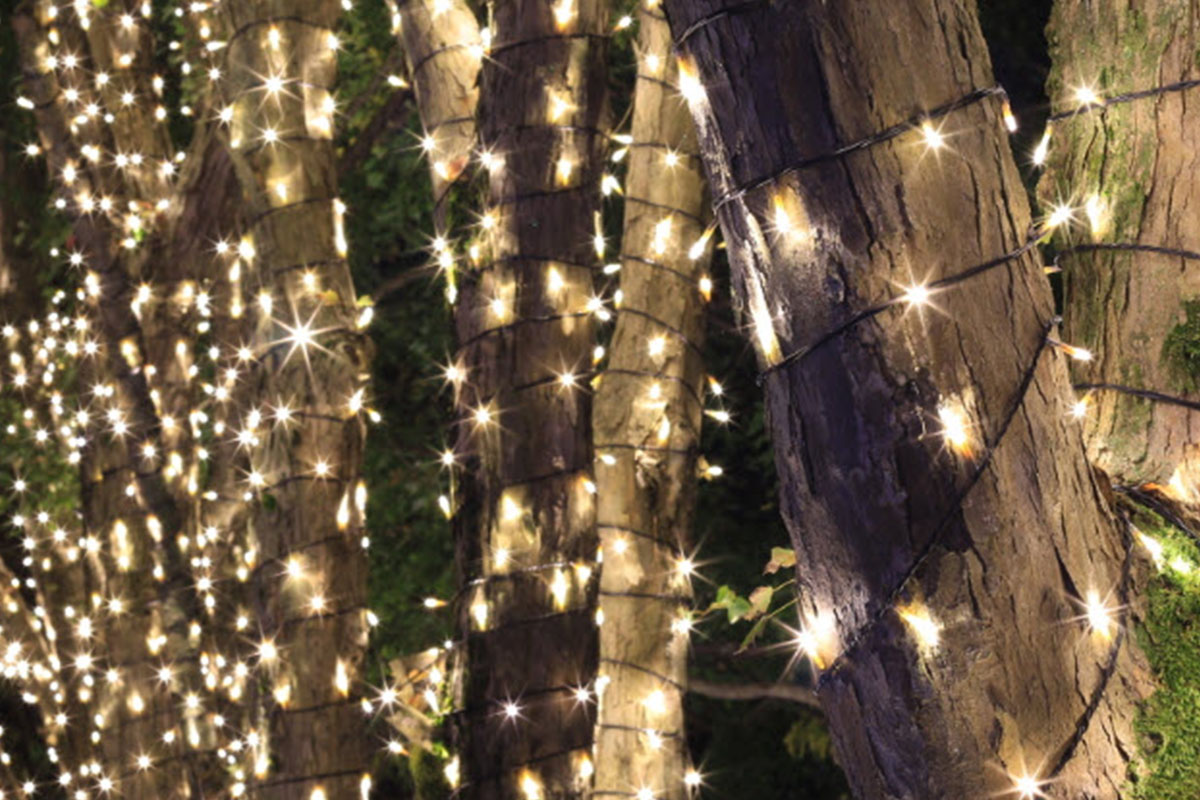 Install professional tree lighting - 7 tips from the expert